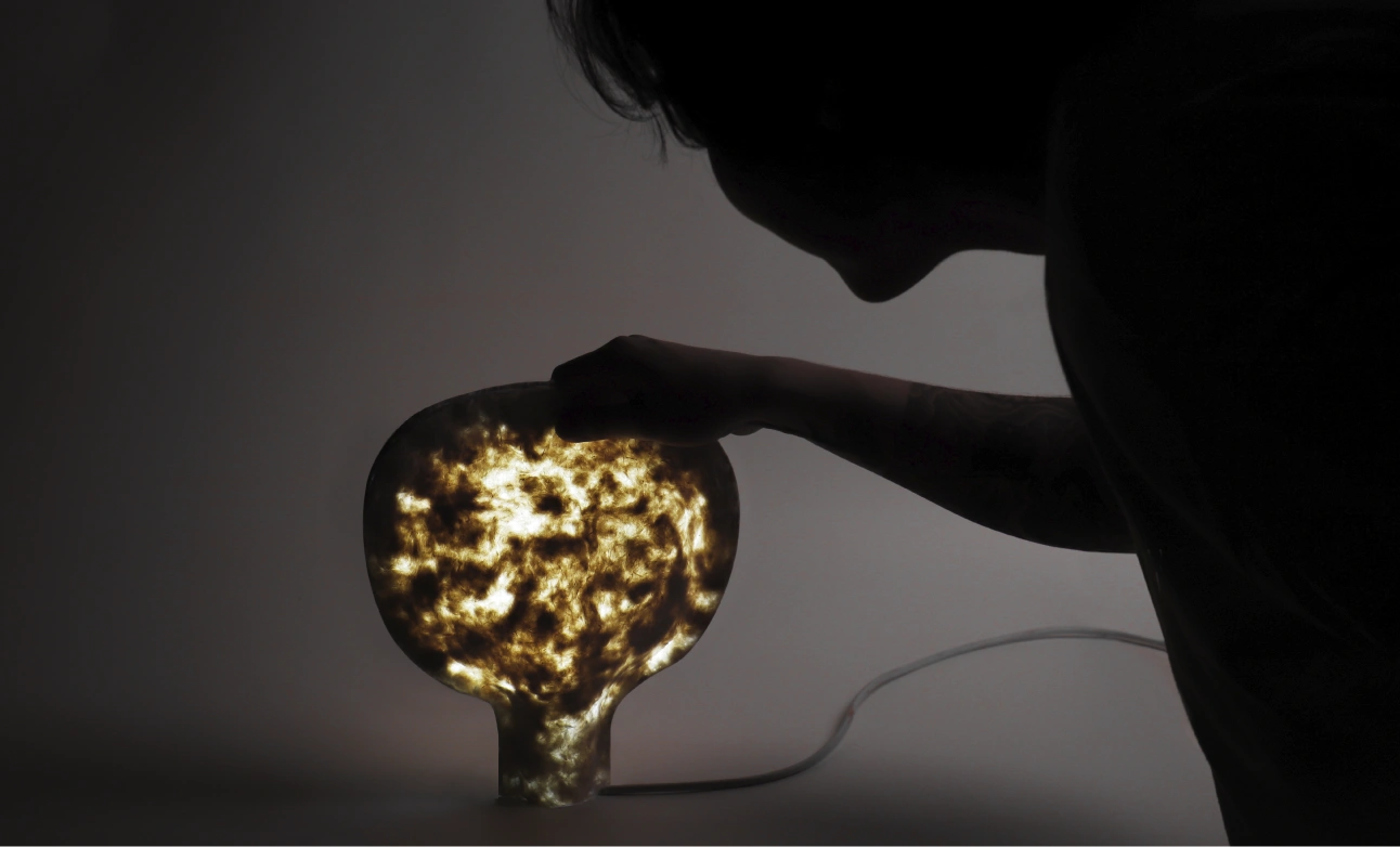light1